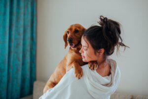 Your Dog Feel Comfortable at the Vet?